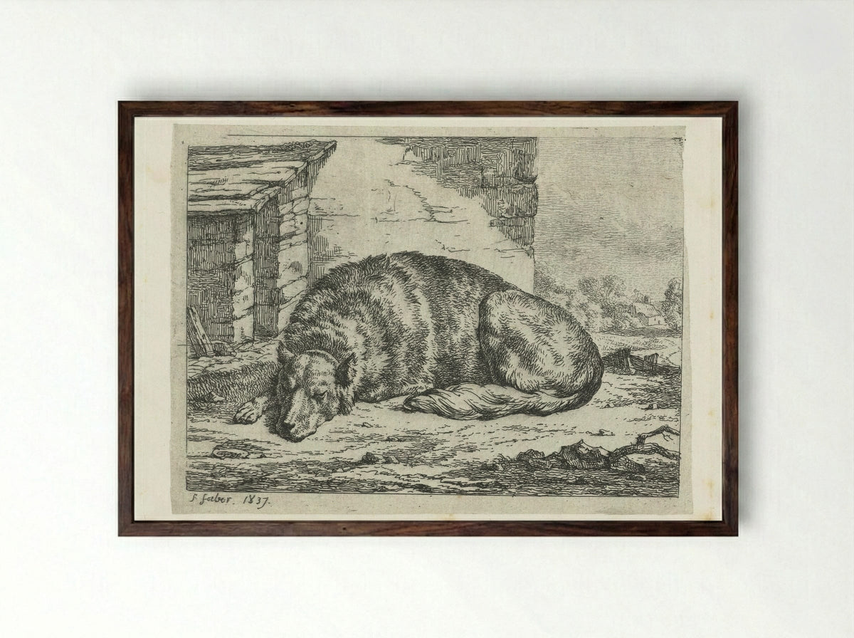 Slapende hond (Sleeping Dog) - Frederik Faber - Framed Print Dark Wood
