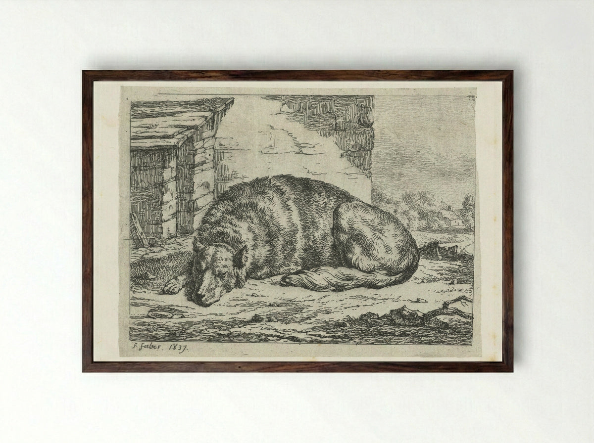 Slapende hond (Sleeping Dog) - Frederik Faber - Framed Print Dark Wood
