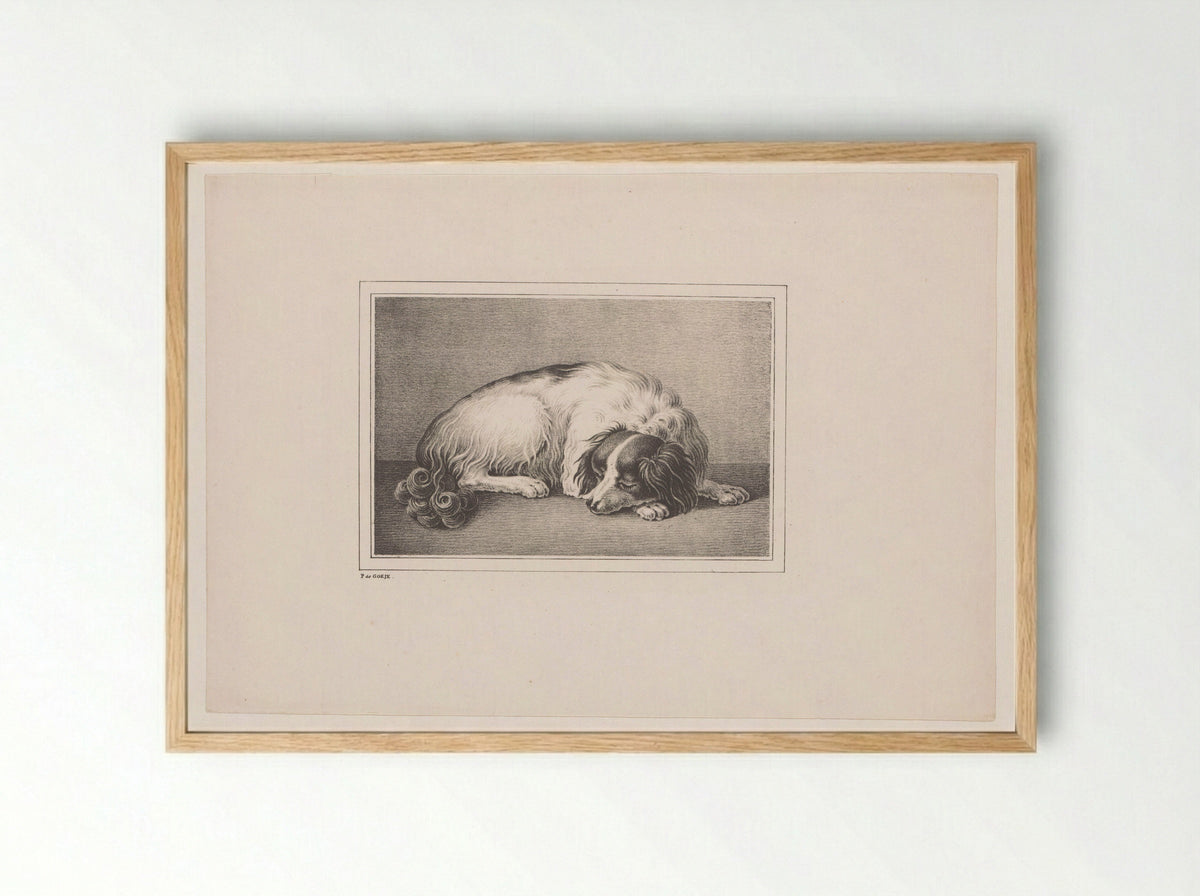 Slapende hond (Sleeping Dog) - P. de Goeje - Framed Print Wood