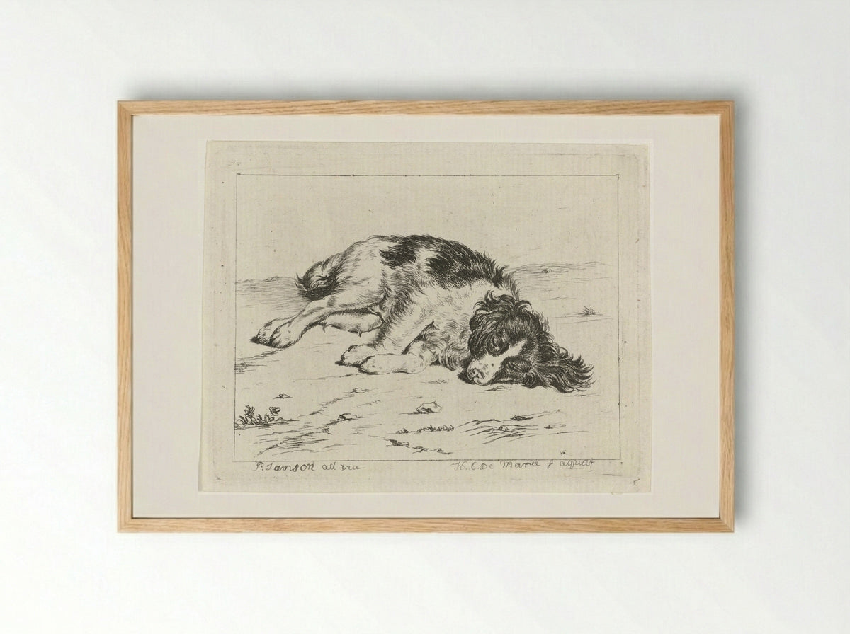 Slapende hond (Sleeping Dog) - Johannes Christiaan de Marees - Framed Print Wood