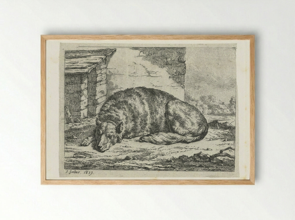 Slapende hond (Sleeping Dog) - Frederik Faber - Framed Print Wood