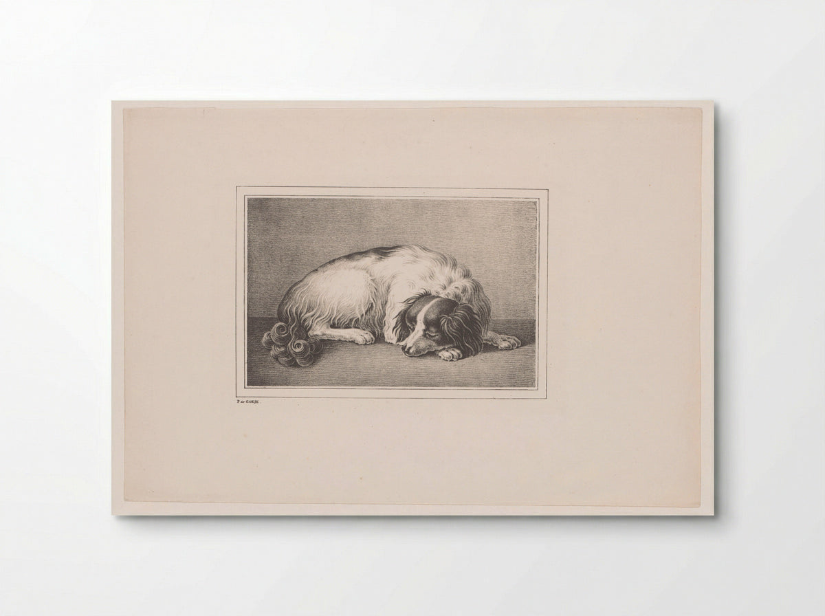 Slapende hond (Sleeping Dog) - P. de Goeje - Poster