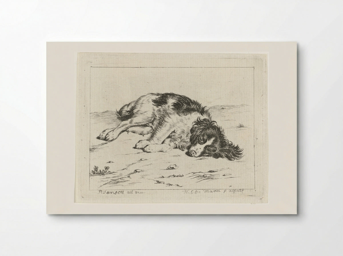 Slapende hond (Sleeping Dog) - Johannes Christiaan de Marees - Poster