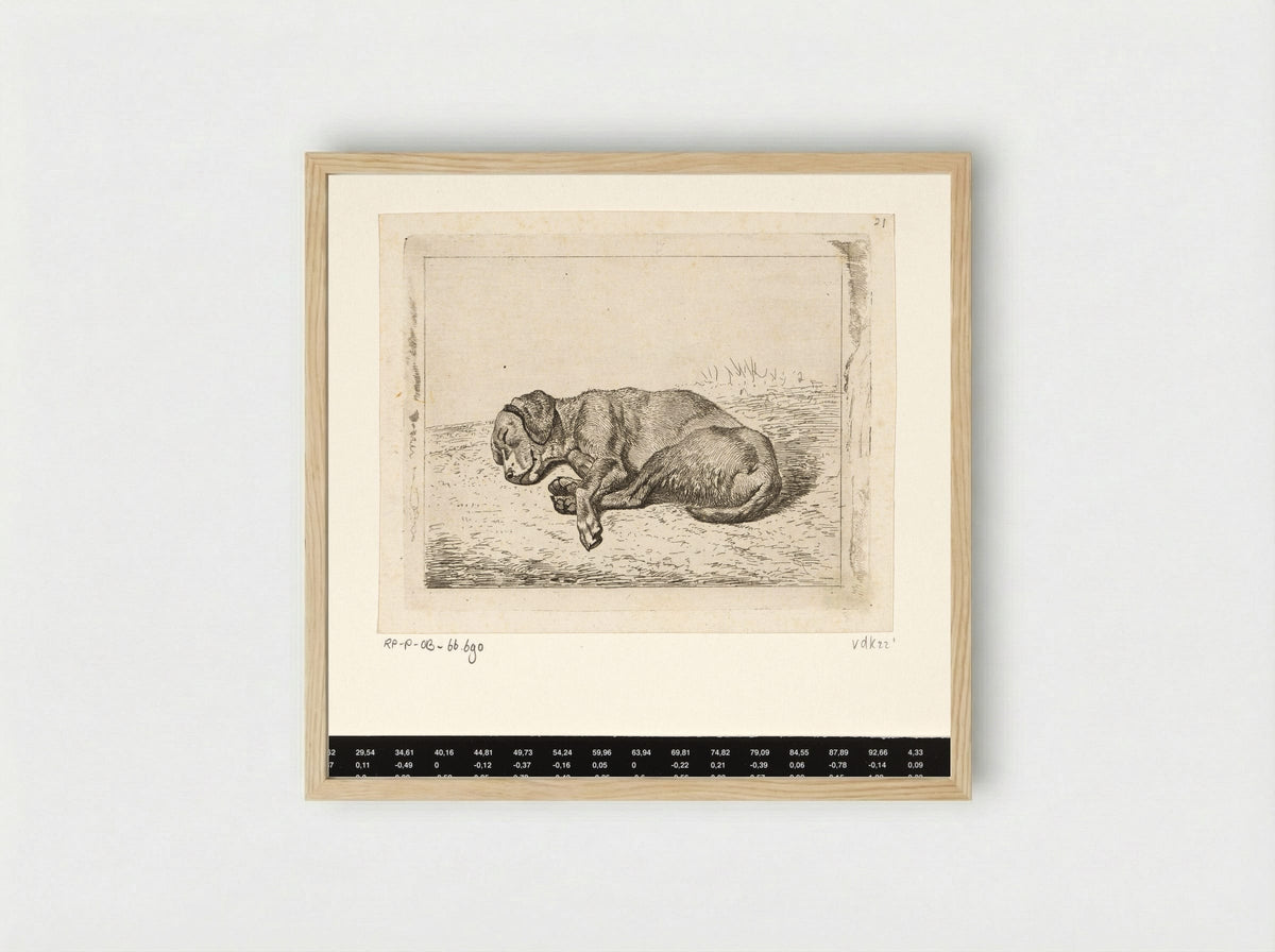 Slapende hond naar links - Wouter Johannes van Troostwijk - Framed Print Wood