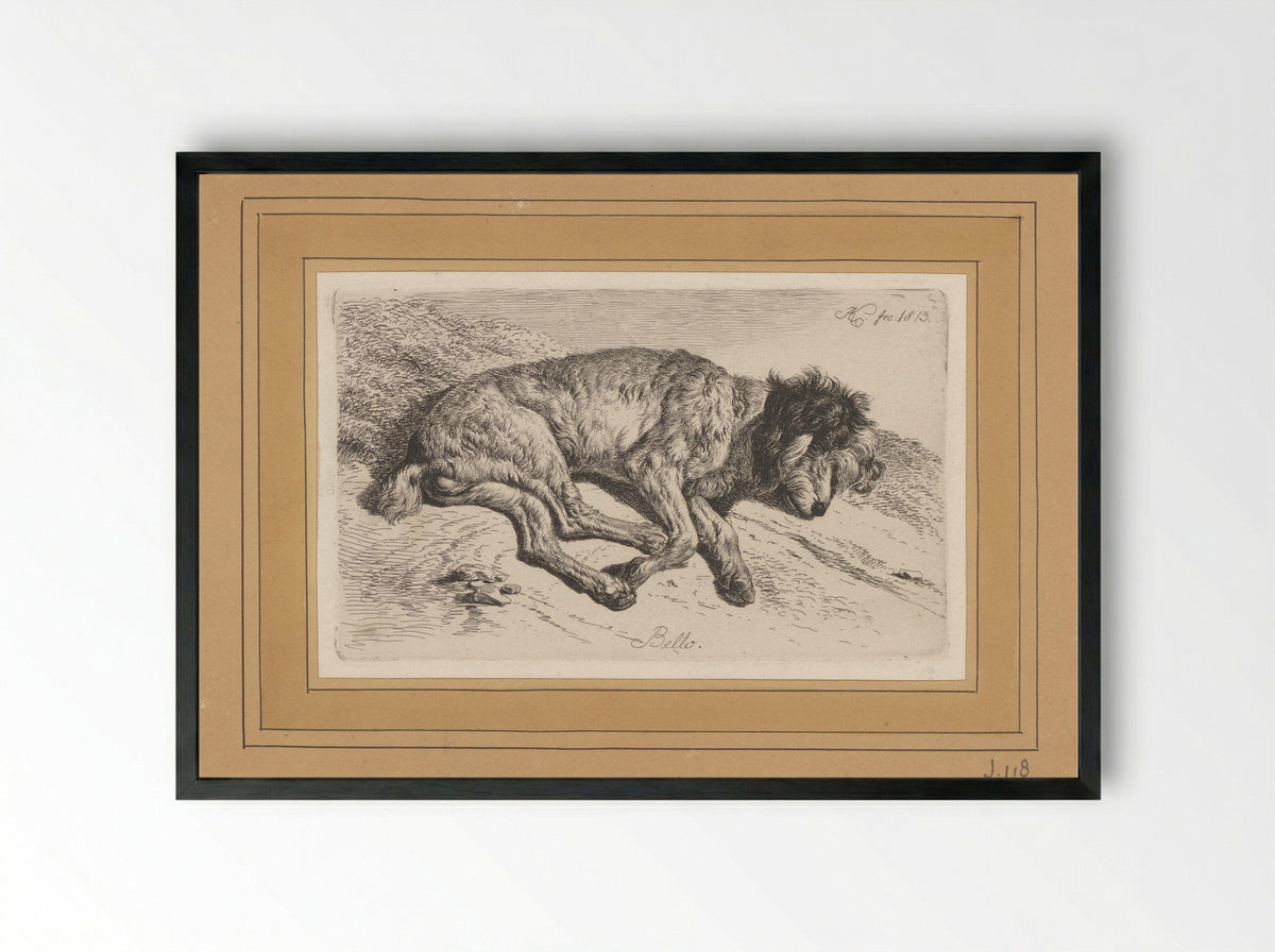 Slapende hond - Fine Art Print - Framed Print Black