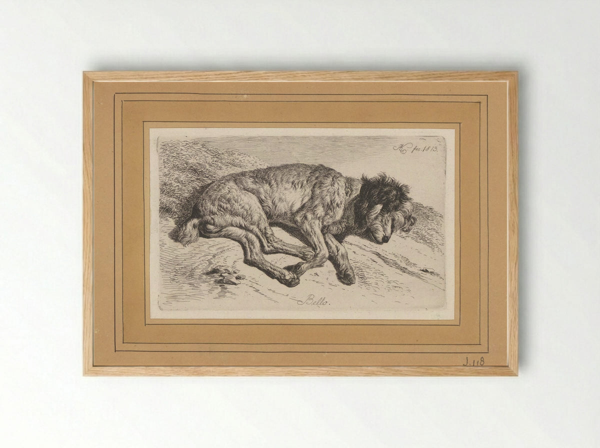 Slapende hond - Fine Art Print - Framed Print Wood