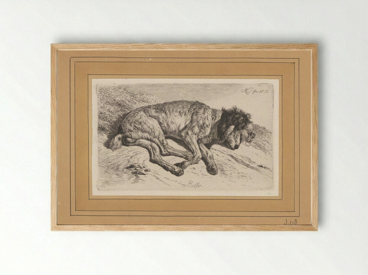 Slapende hond - Fine Art Print - Framed Print Wood