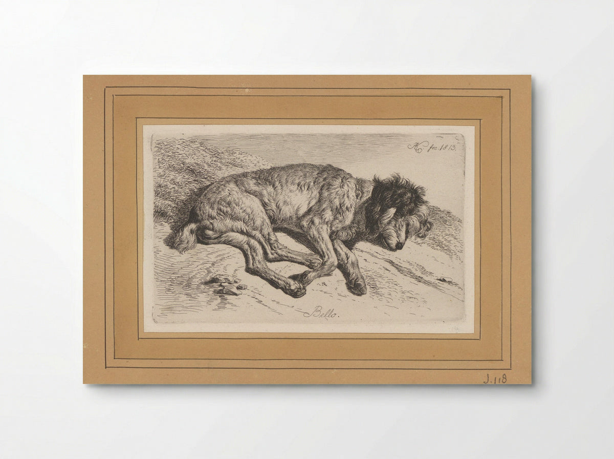 Slapende hond - Fine Art Print - Poster
