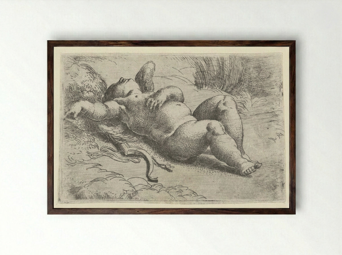 Sleeping Cupid - Parmigianino - Framed Print Dark Wood