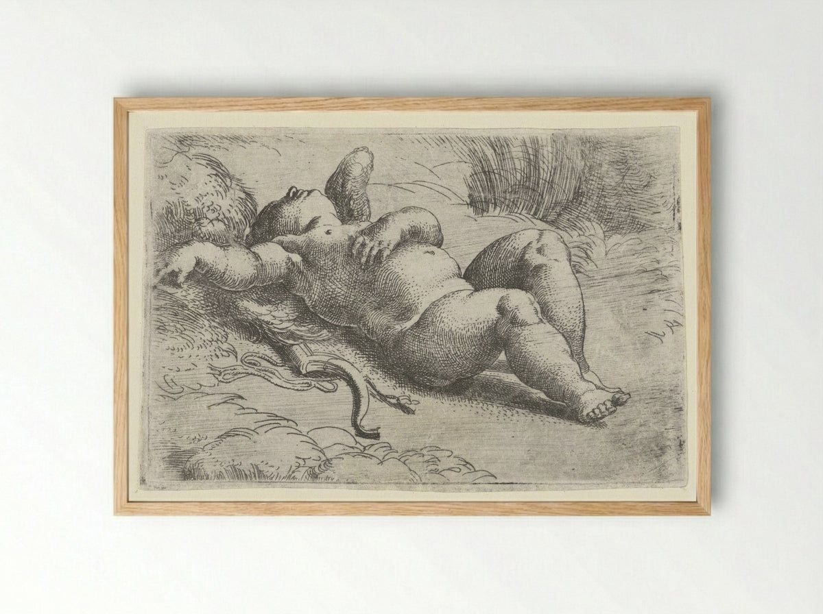 Sleeping Cupid - Parmigianino - Framed Print Wood