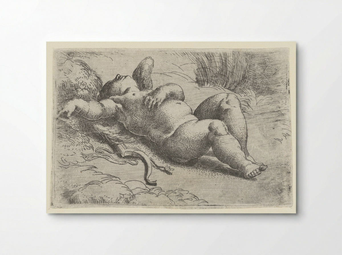 Sleeping Cupid - Parmigianino - Poster