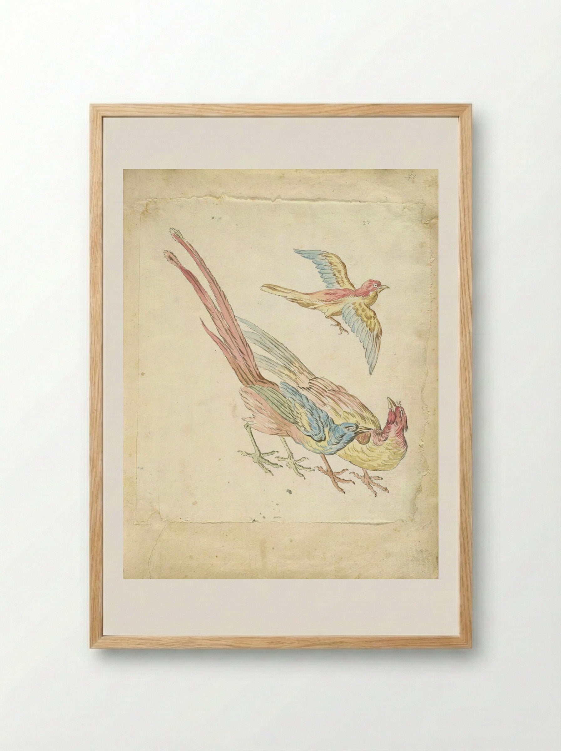 Small Bird in Flight above Two Pheasants - Jean-Baptiste Oudry - Framed Print Wood