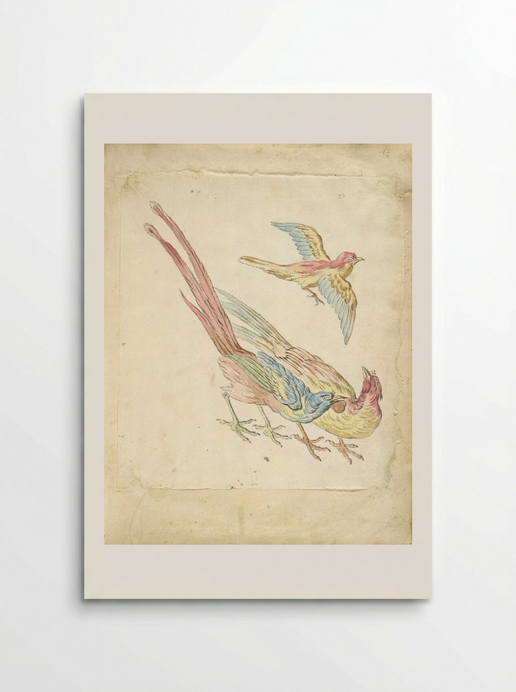 Small Bird in Flight above Two Pheasants - Jean-Baptiste Oudry - Poster