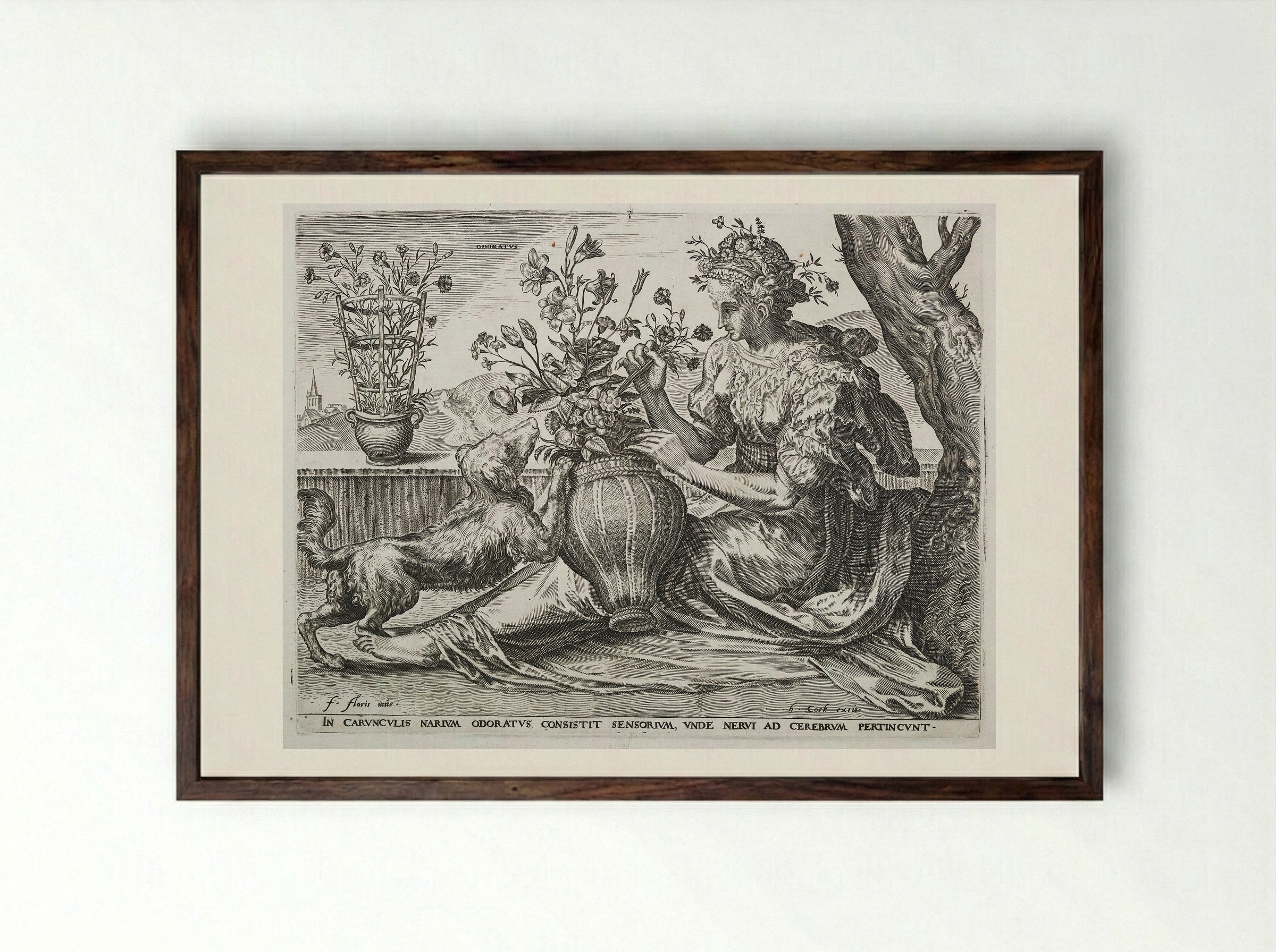Smell (from The Five Senses) - Cornelis Cort - Framed Print Dark Wood
