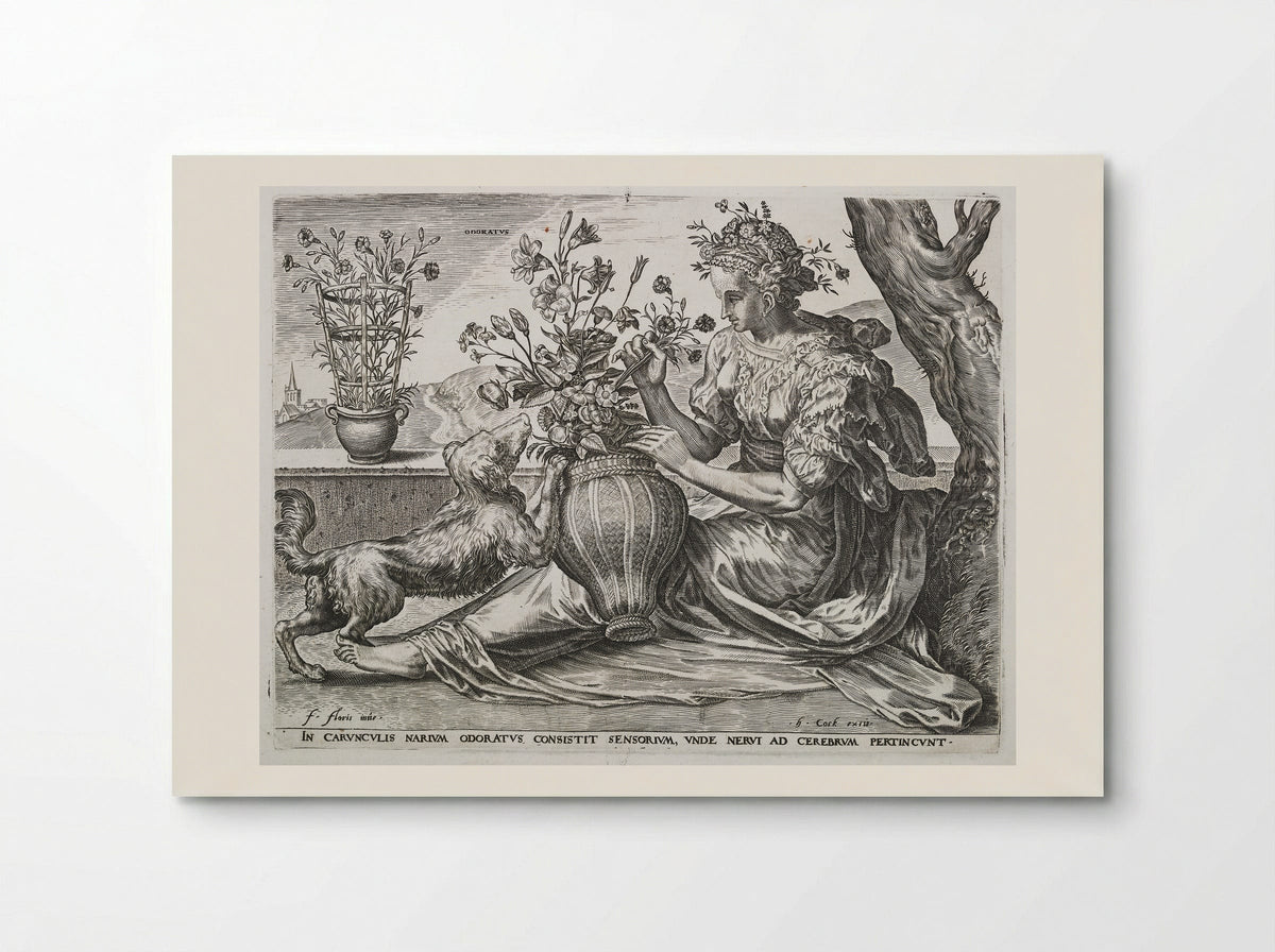 Smell (from The Five Senses) - Cornelis Cort - Poster