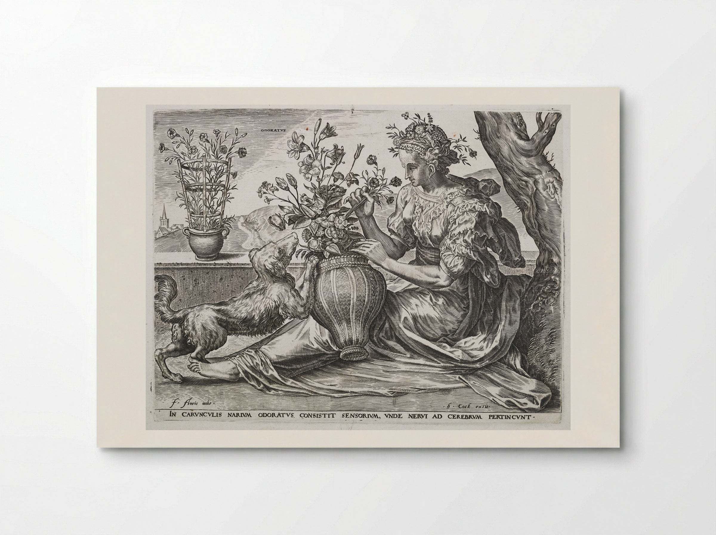 Smell (from The Five Senses) - Cornelis Cort - Poster