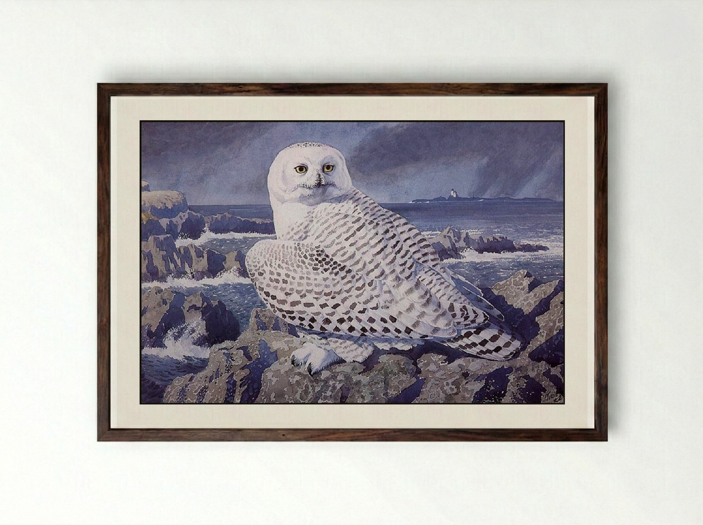 Snowy Owl - Charles Tunnicliffe - Framed Print Dark Wood