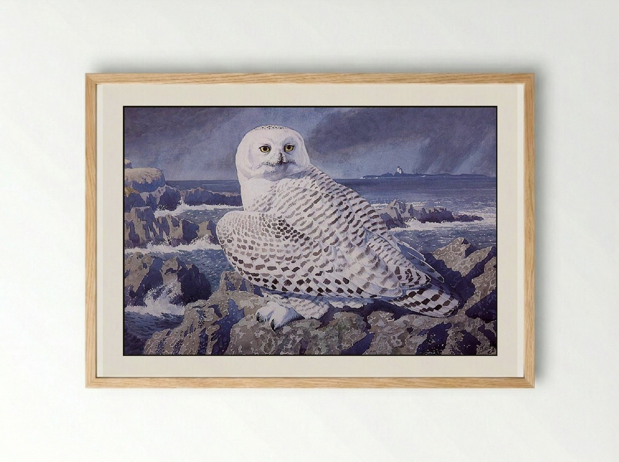 Snowy Owl - Charles Tunnicliffe - Framed Print Wood