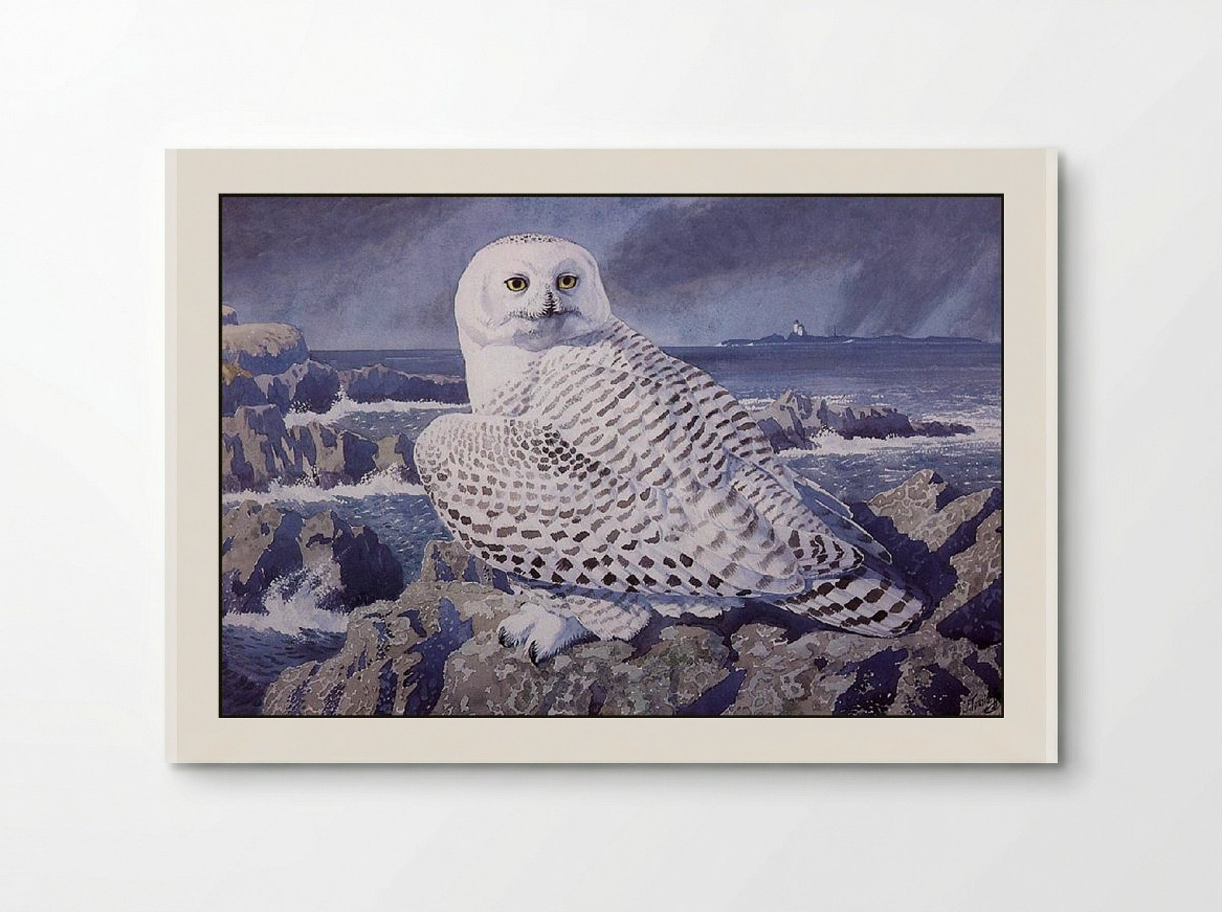 Snowy Owl - Charles Tunnicliffe - Poster