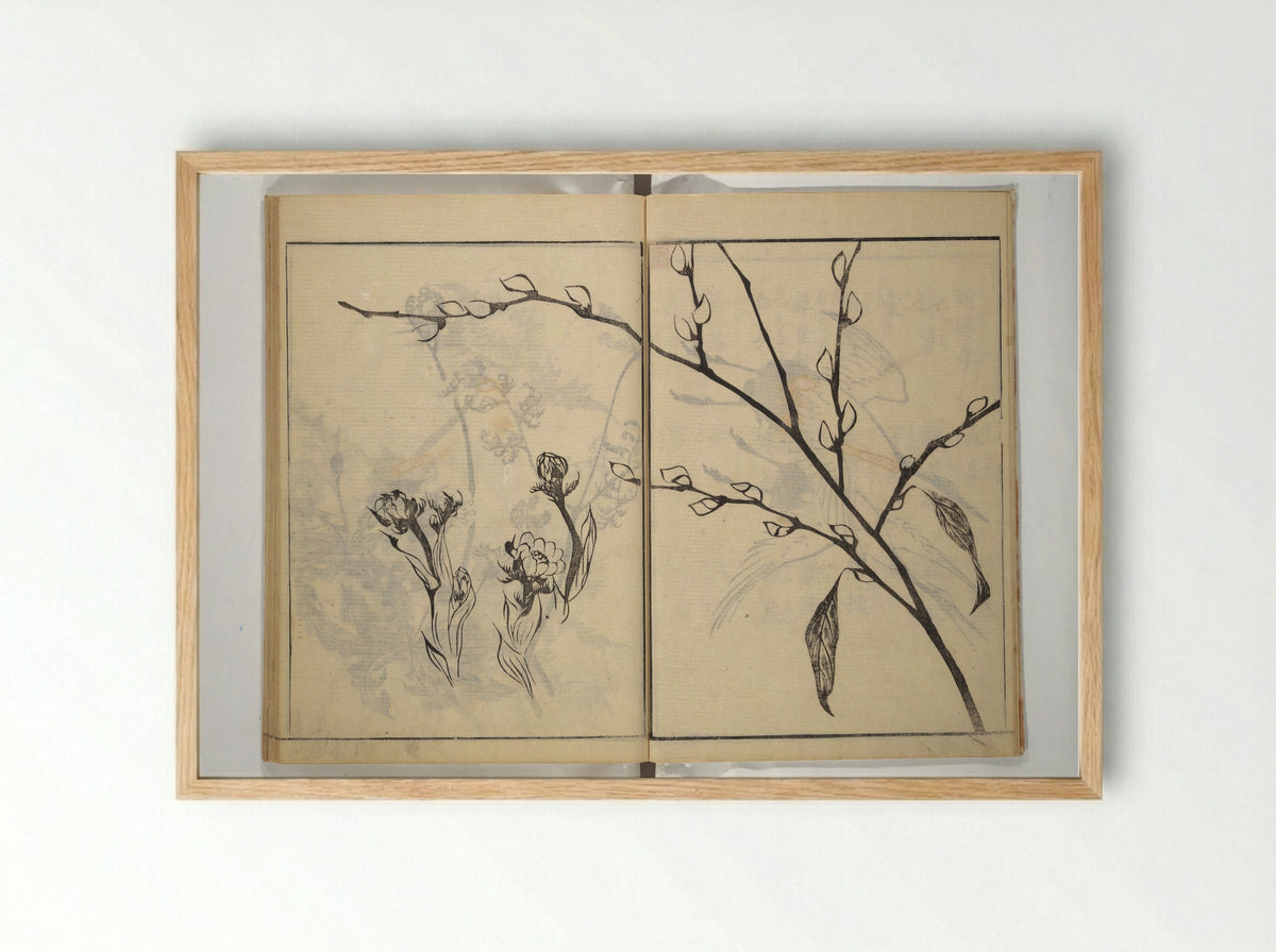 Soken Picture Album: The Plant Section - Yamaguchi Soken - Framed Print Wood