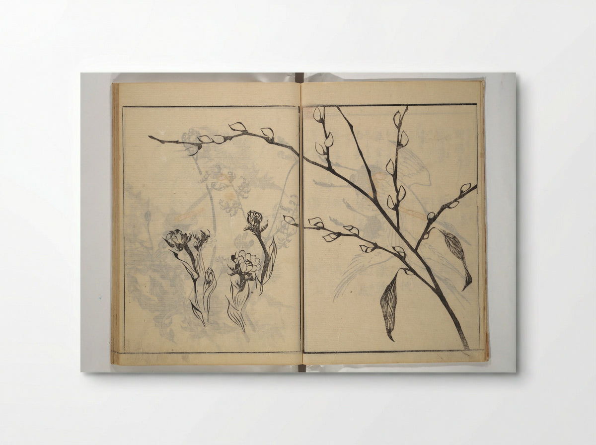 Soken Picture Album: The Plant Section - Yamaguchi Soken - Poster