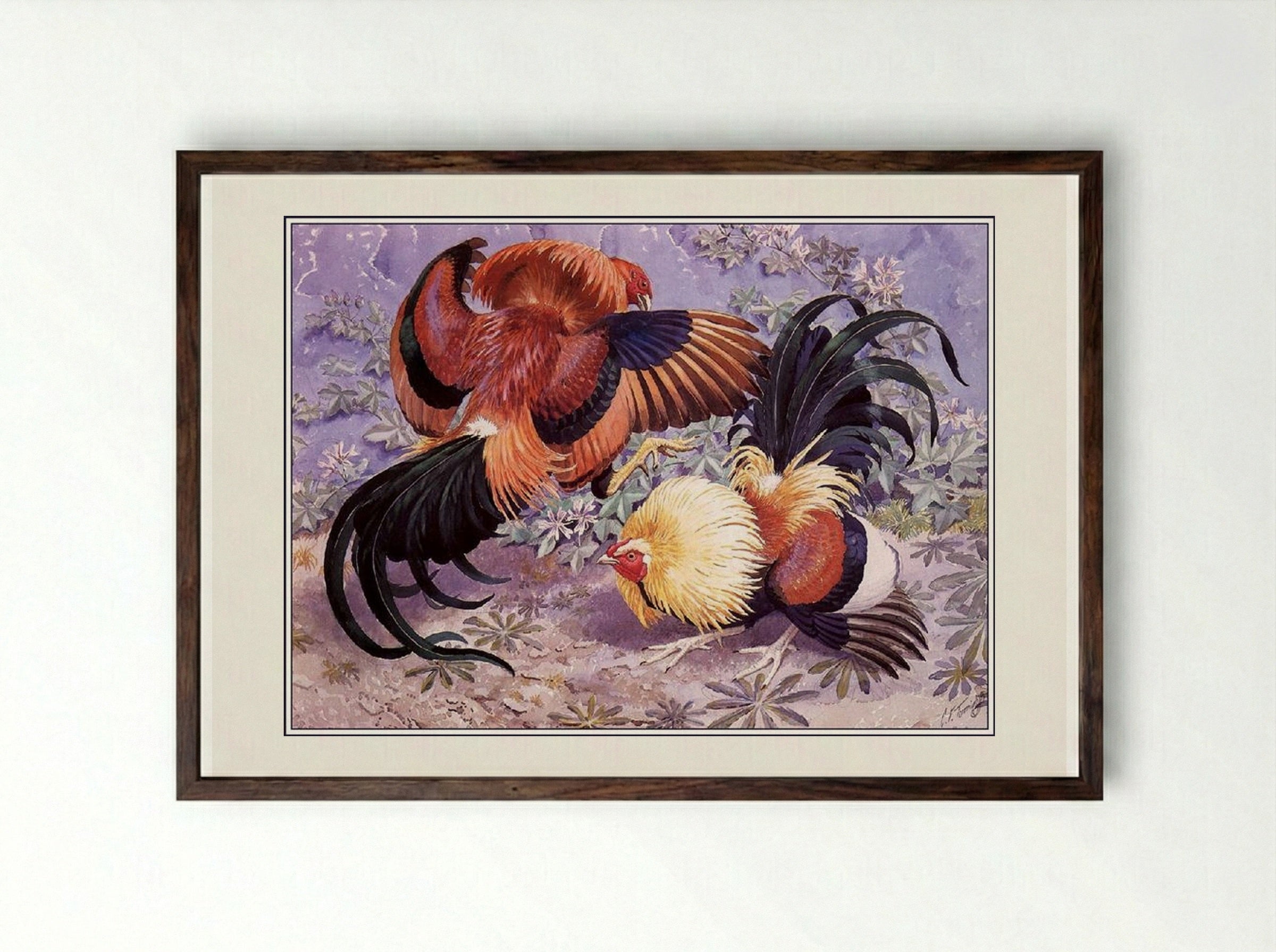 Sparring Cockerels - Charles Tunnicliffe - Framed Print Dark Wood