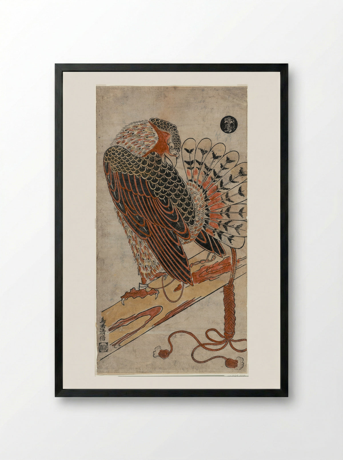 Sparrowhawk (Konori taka) - Torii Kiyomasu I - Framed Print Black
