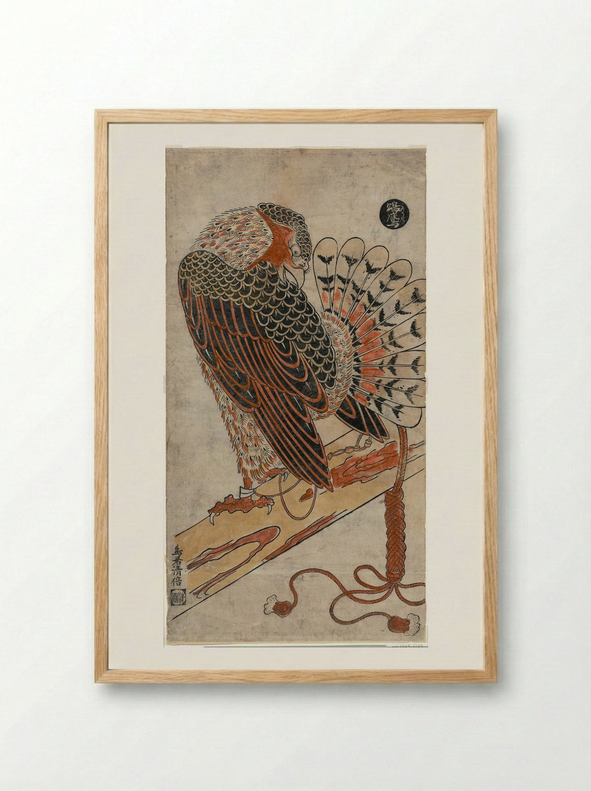 Sparrowhawk (Konori taka) - Torii Kiyomasu I - Framed Print Wood