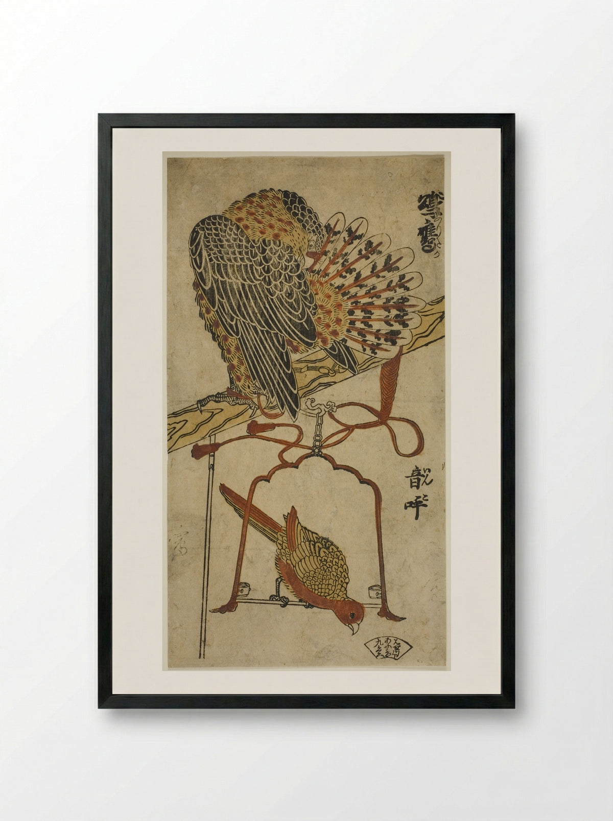 Sparrowhawk and Macaw - Torii Kiyomasu I - Framed Print Black