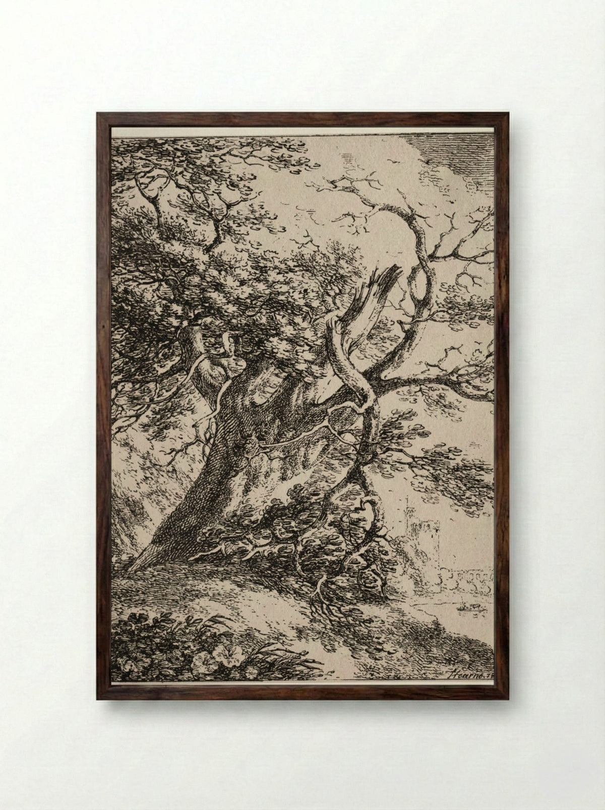 Specimens of Polyautography: Landscape with an Oak Tree - Thomas Hearne - Framed Print Dark Wood