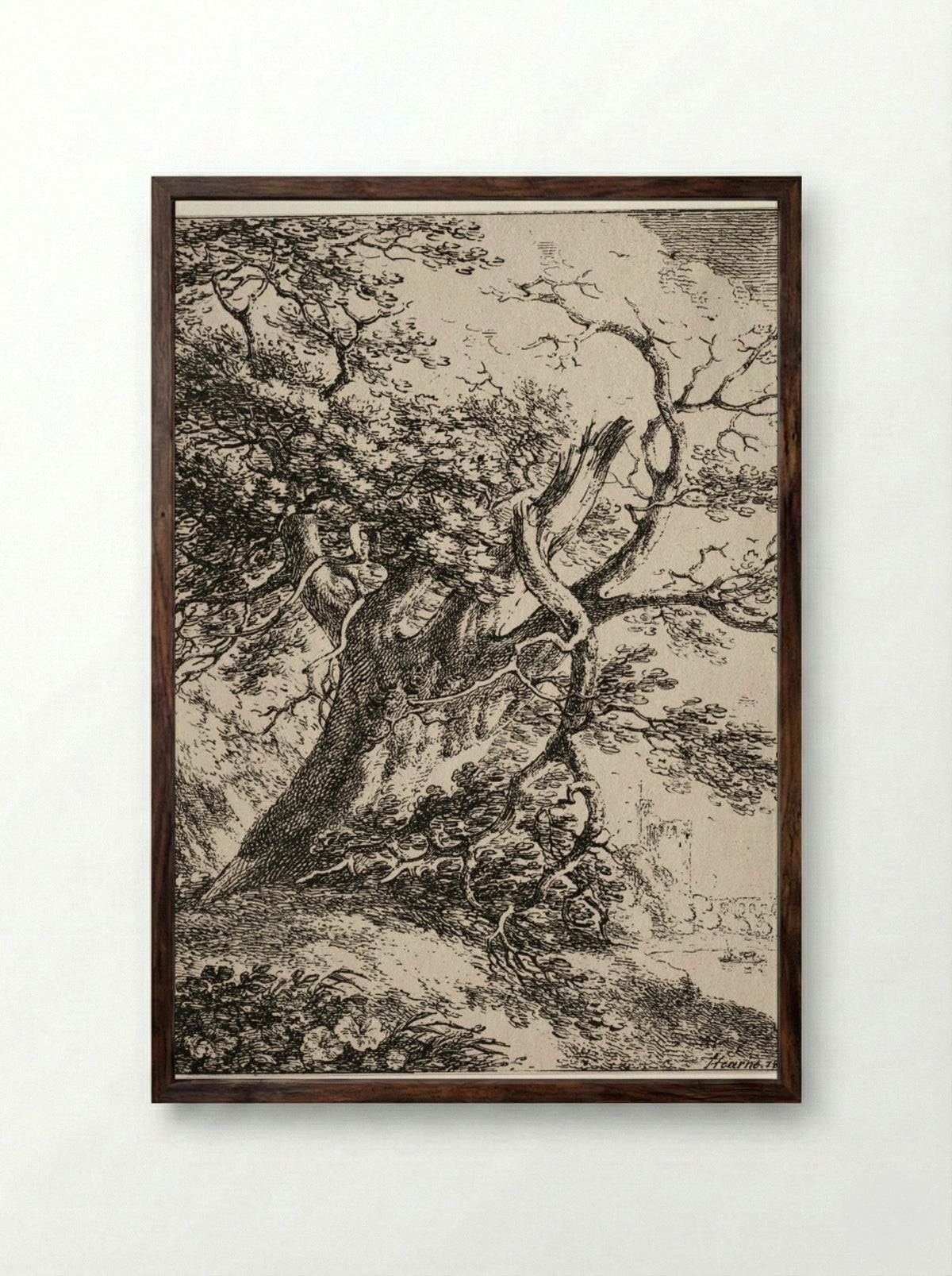 Specimens of Polyautography: Landscape with an Oak Tree - Thomas Hearne - Framed Print Dark Wood