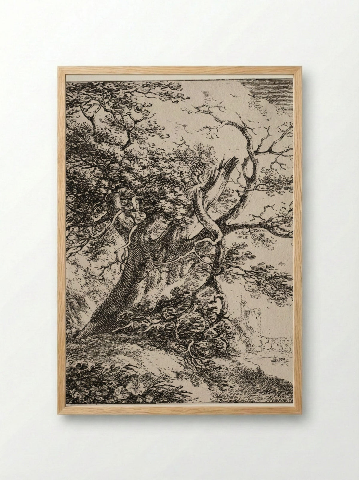 Specimens of Polyautography: Landscape with an Oak Tree - Thomas Hearne - Framed Print Wood