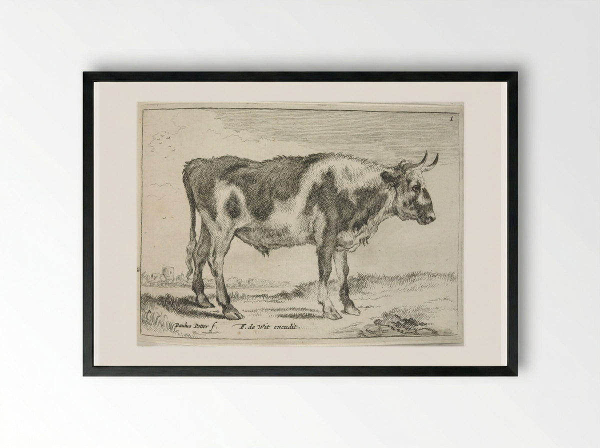 Spotted Steer - Johannes Visscher - Framed Print Black