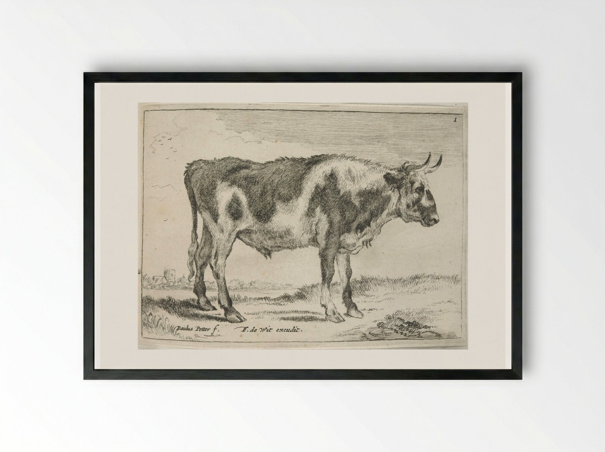 Spotted Steer - Johannes Visscher - Framed Print Black