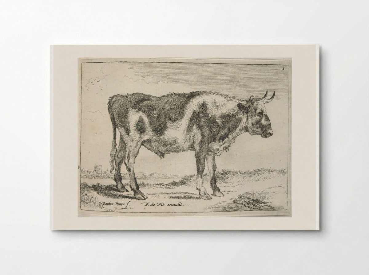 Spotted Steer - Johannes Visscher - Poster