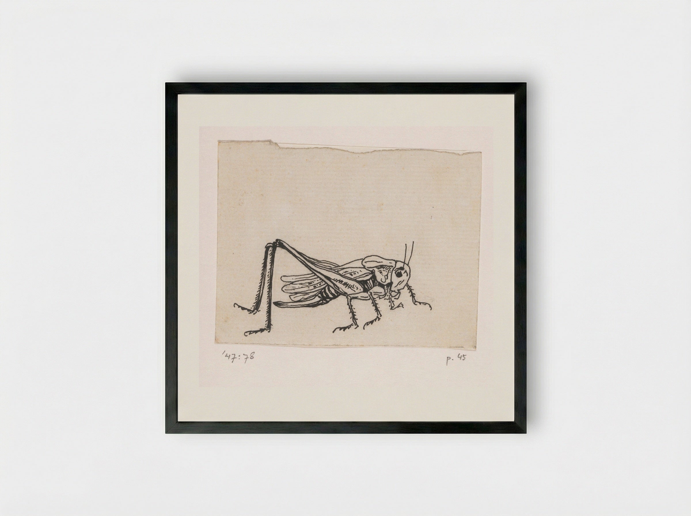 Sprinkhaan - Willem Wenckebach - Framed Print Black