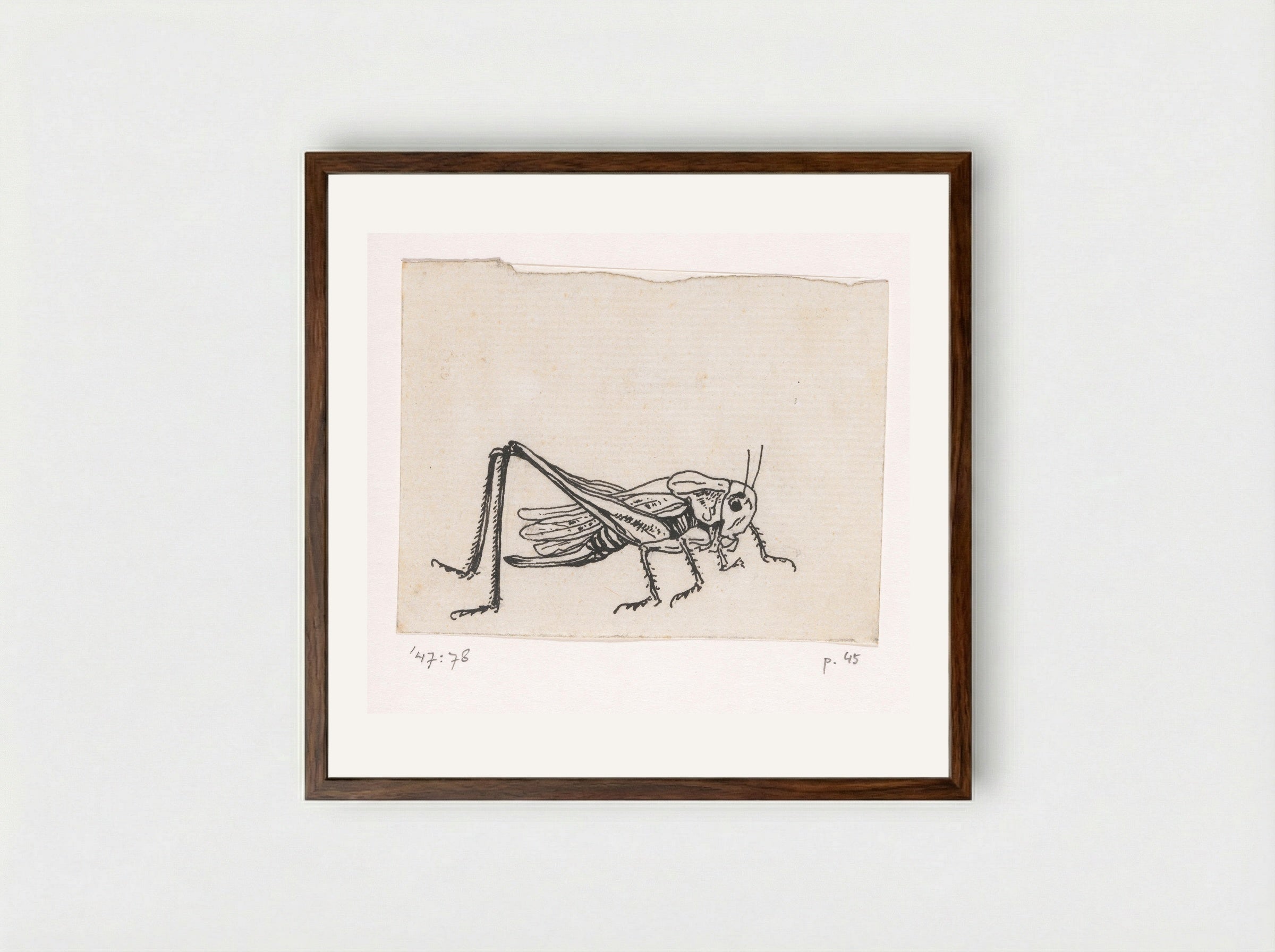 Sprinkhaan - Willem Wenckebach - Framed Print Dark Wood