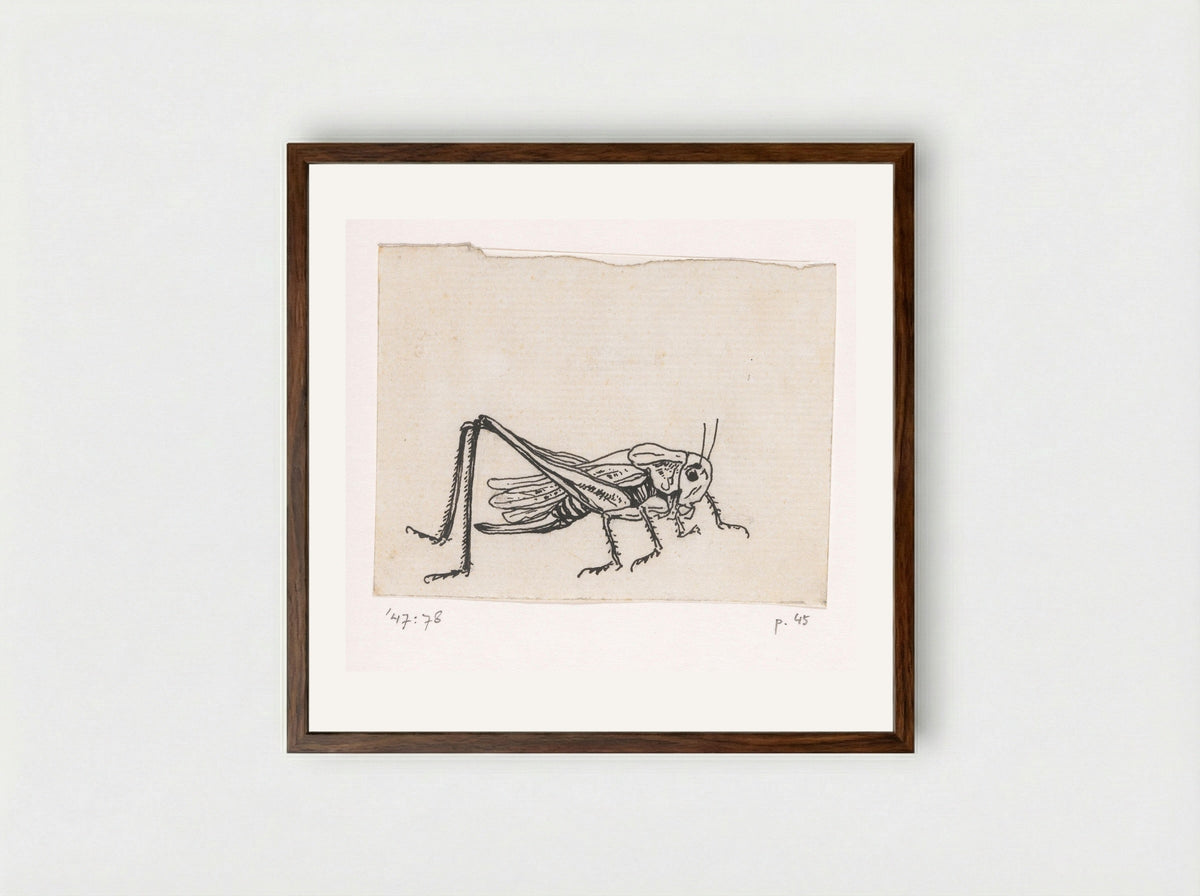 Sprinkhaan - Willem Wenckebach - Framed Print Dark Wood