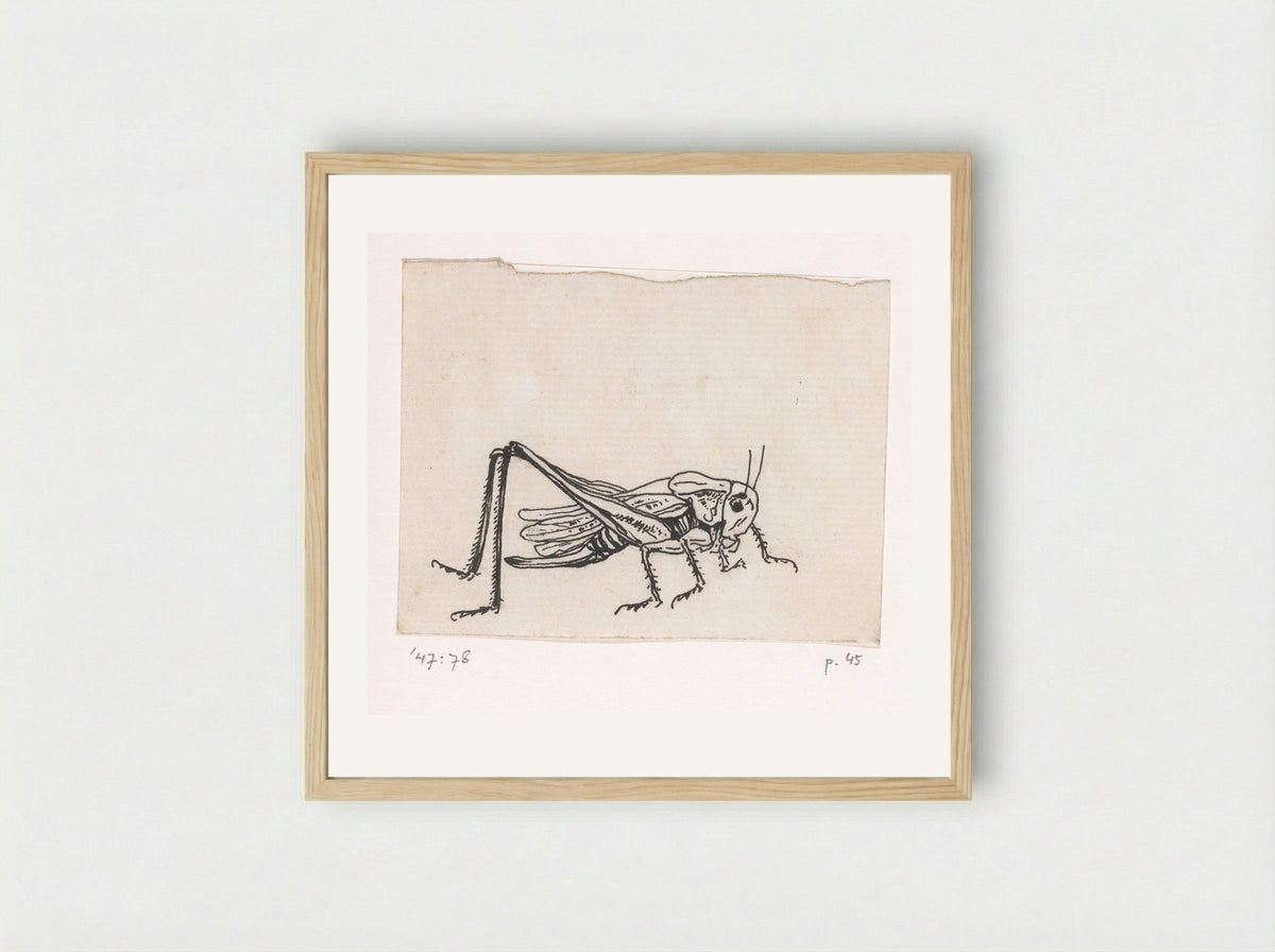 Sprinkhaan - Willem Wenckebach - Framed Print Wood