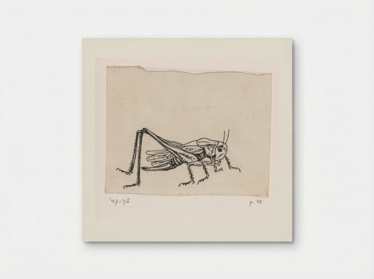 Sprinkhaan - Willem Wenckebach - Poster