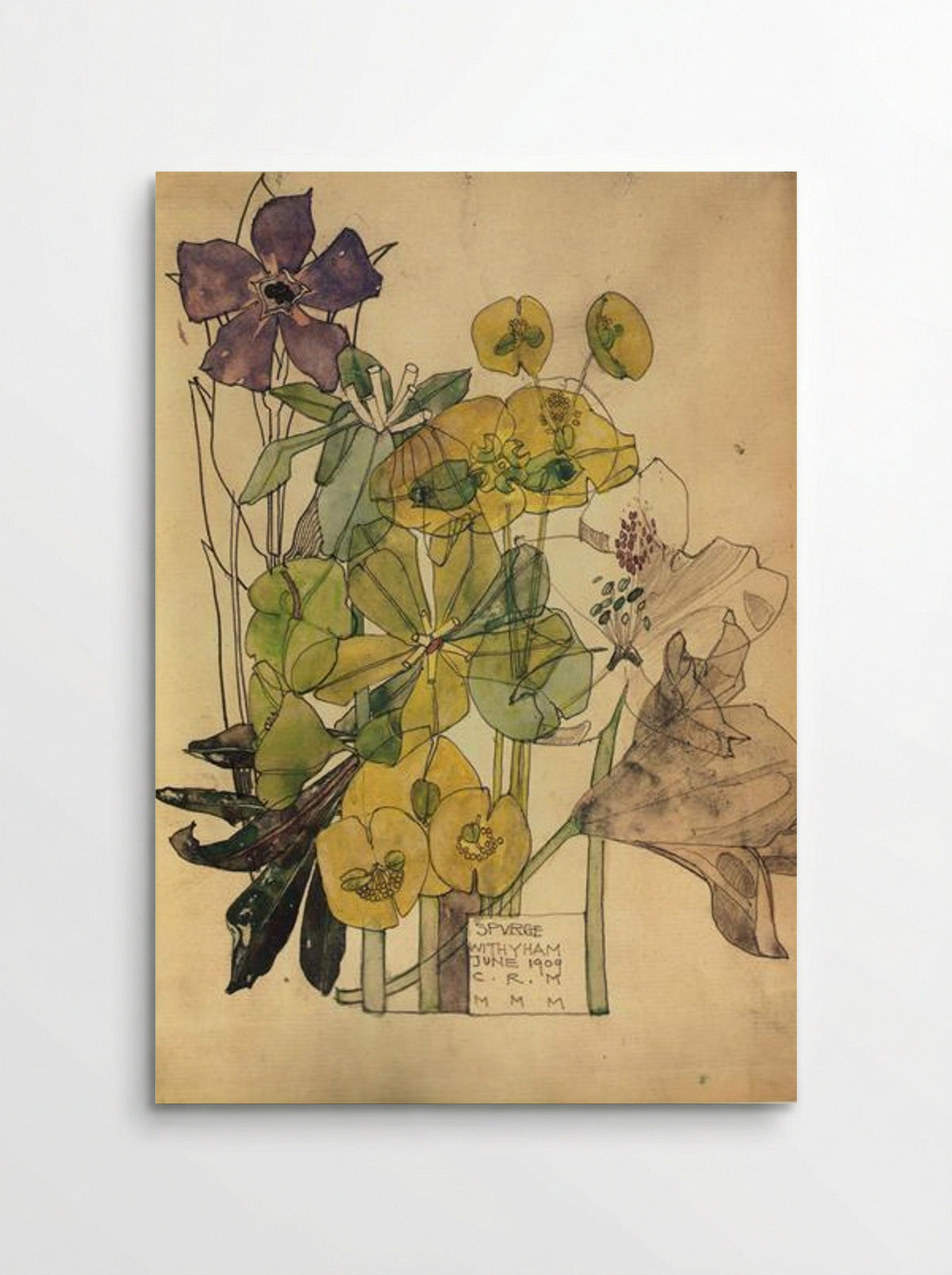 Spurge With Withyham - Charles Rennie Mackintosh - Poster