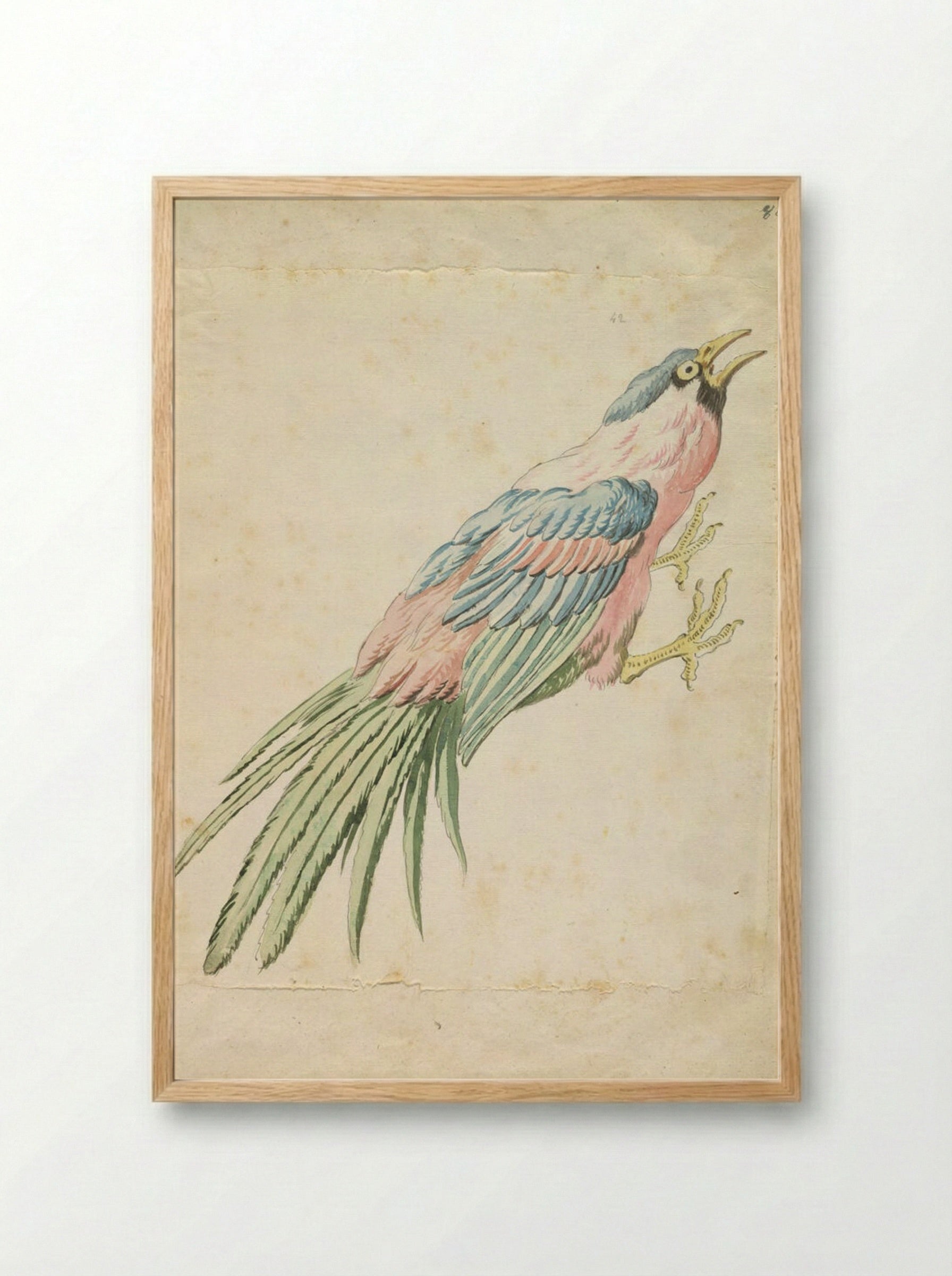 Squawking Bird with Talons Extended to the Right - Jean-Baptiste Oudry - Framed Print Wood