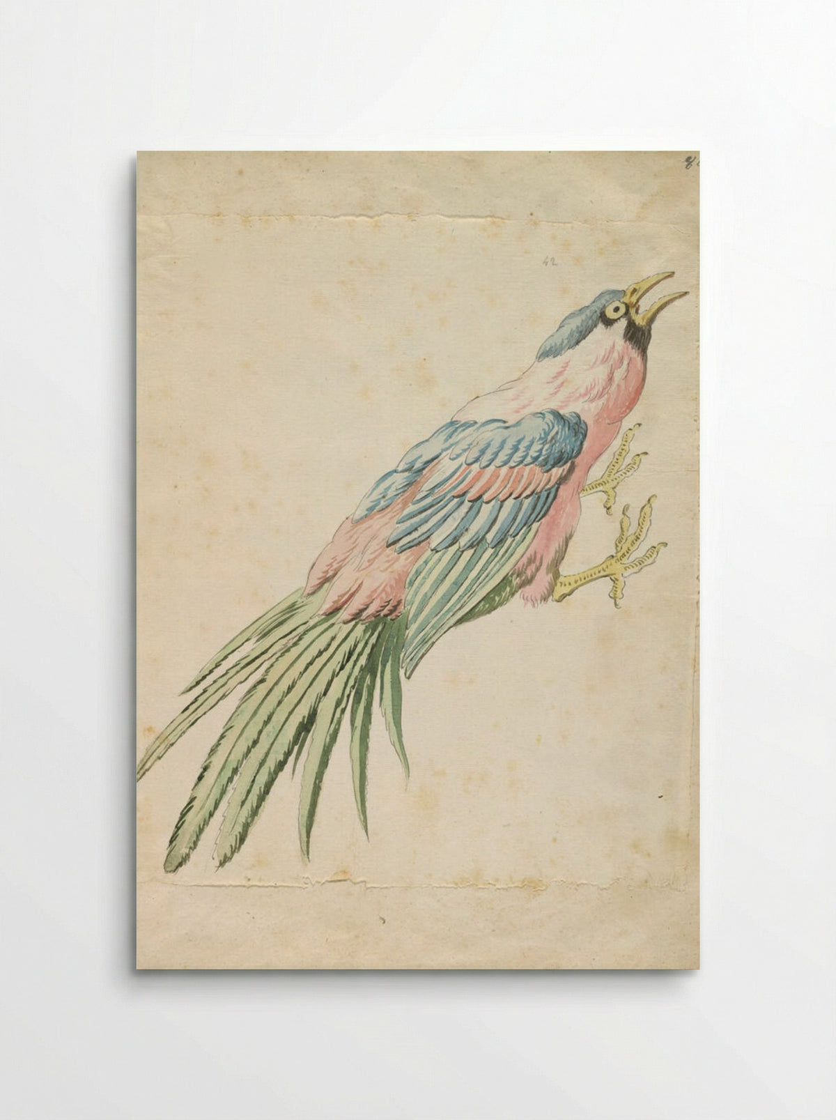 Squawking Bird with Talons Extended to the Right - Jean-Baptiste Oudry - Poster