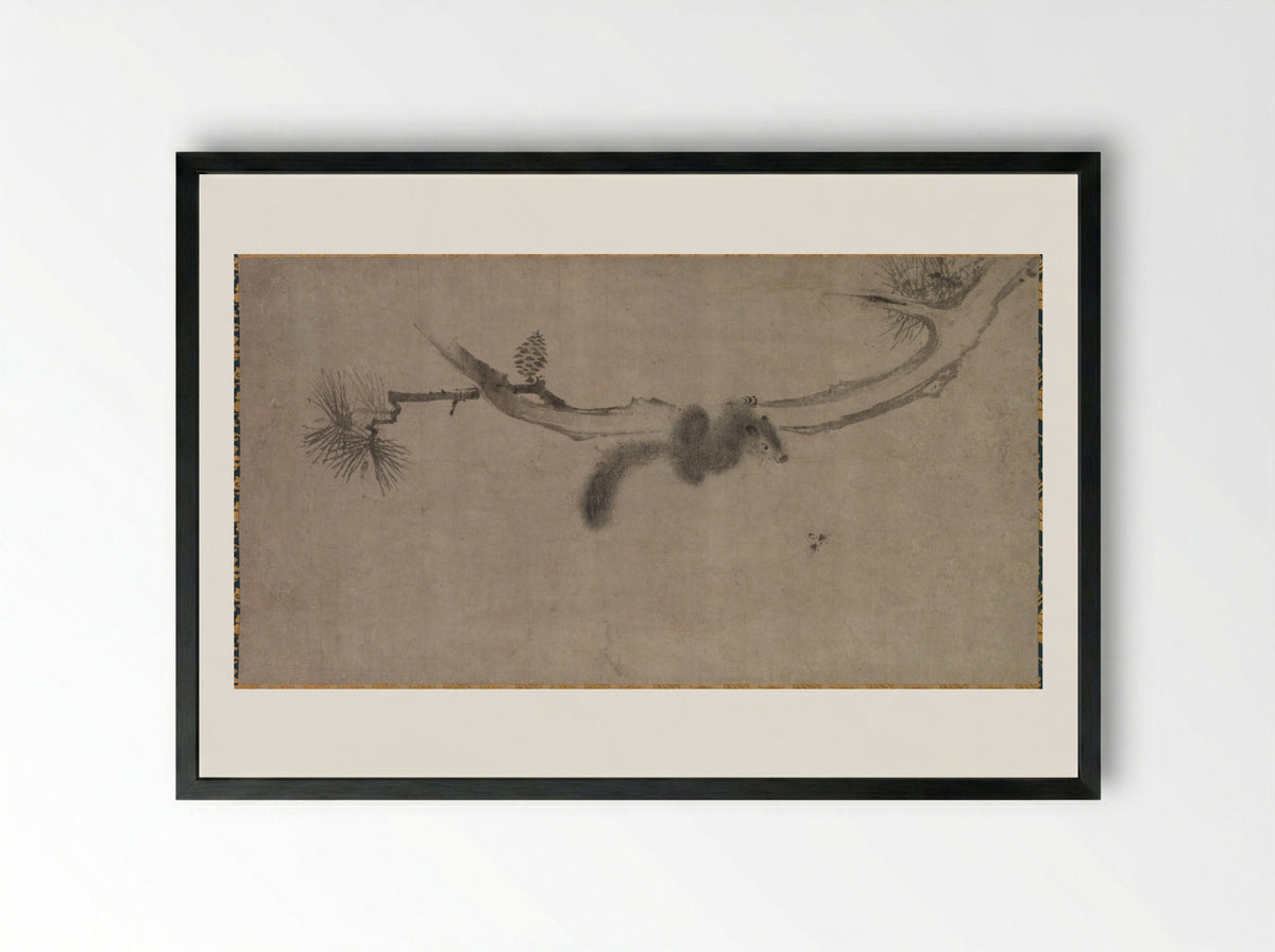 Squirrel on a Pine Branch - Song Tian - Framed Print Black