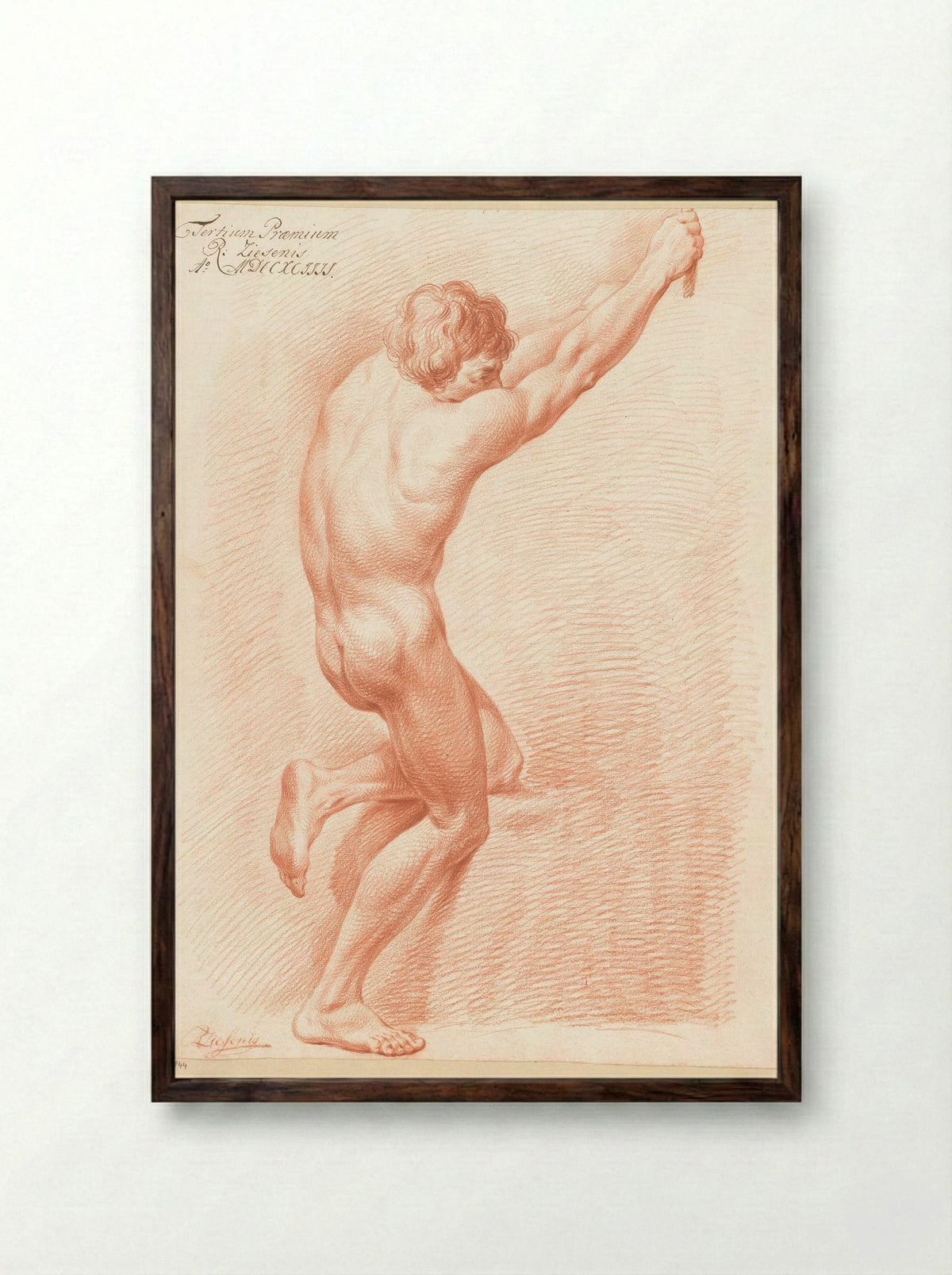 Staand mannelijk naakt, op de rug gezien (3e prijs 1794) - Reinier Ziesenis - Framed Print Dark Wood