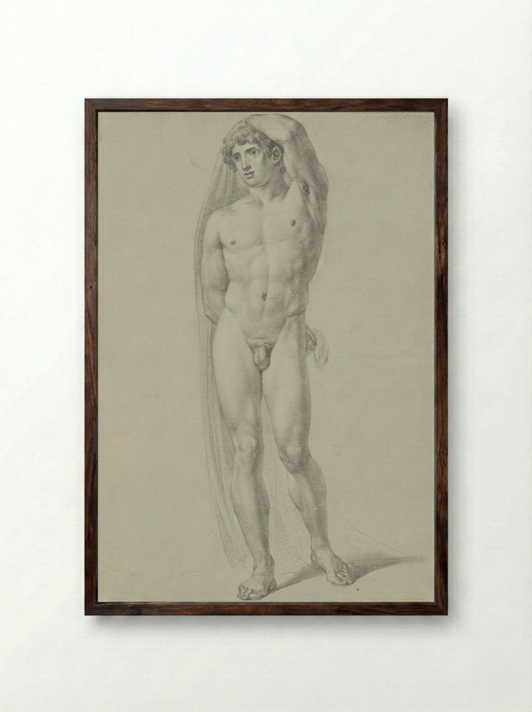 Staand mannelijk naakt, van voren, een doek achter de rug houdend - Jean Grandjean - Framed Print Dark Wood