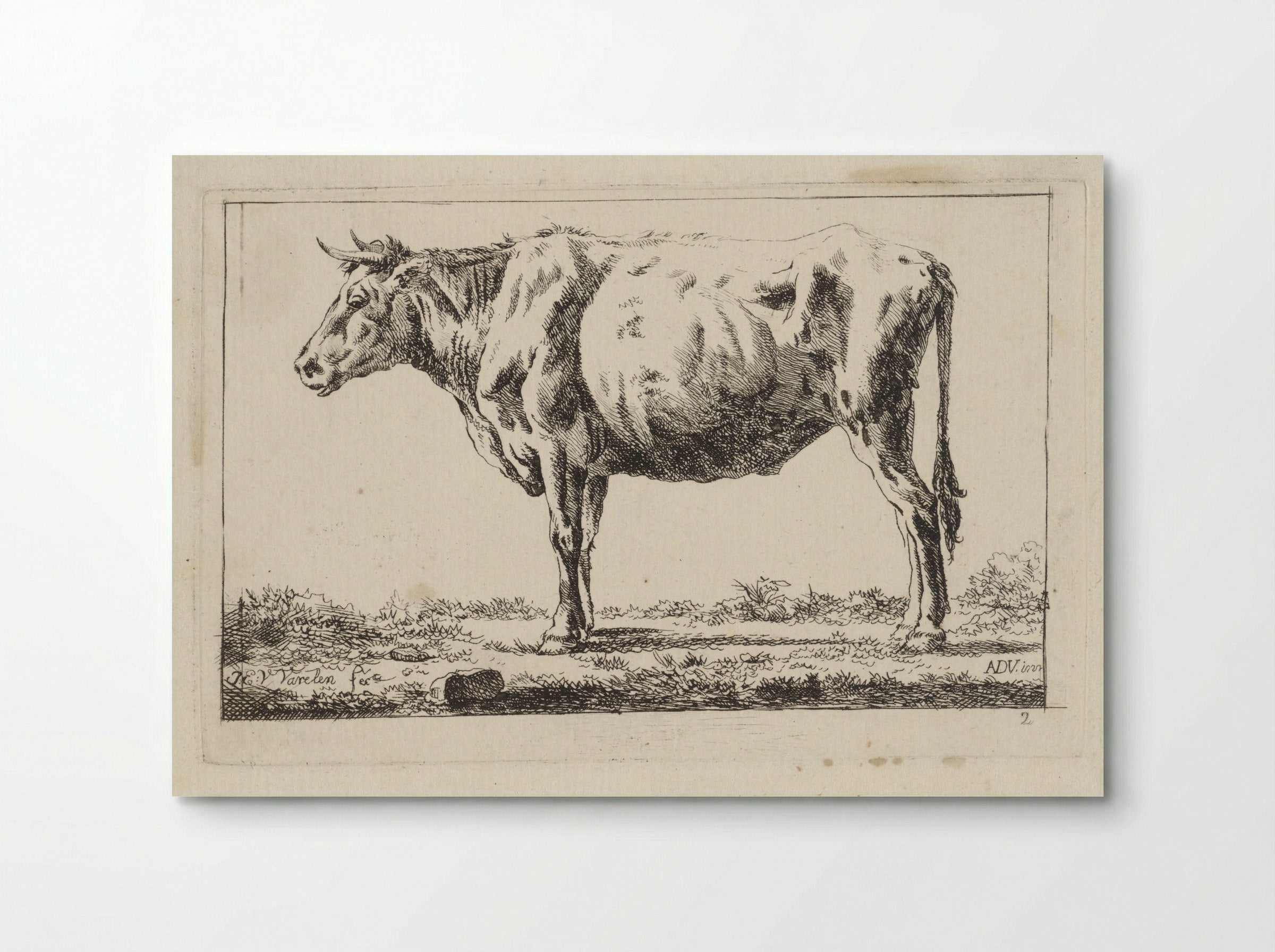 Staand rund, naar links - Jacob Elias van Varelen - Poster