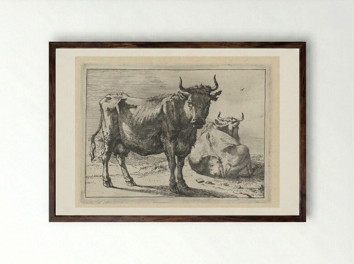 Staande en liggende koe - Paulus Potter - Framed Print Dark Wood