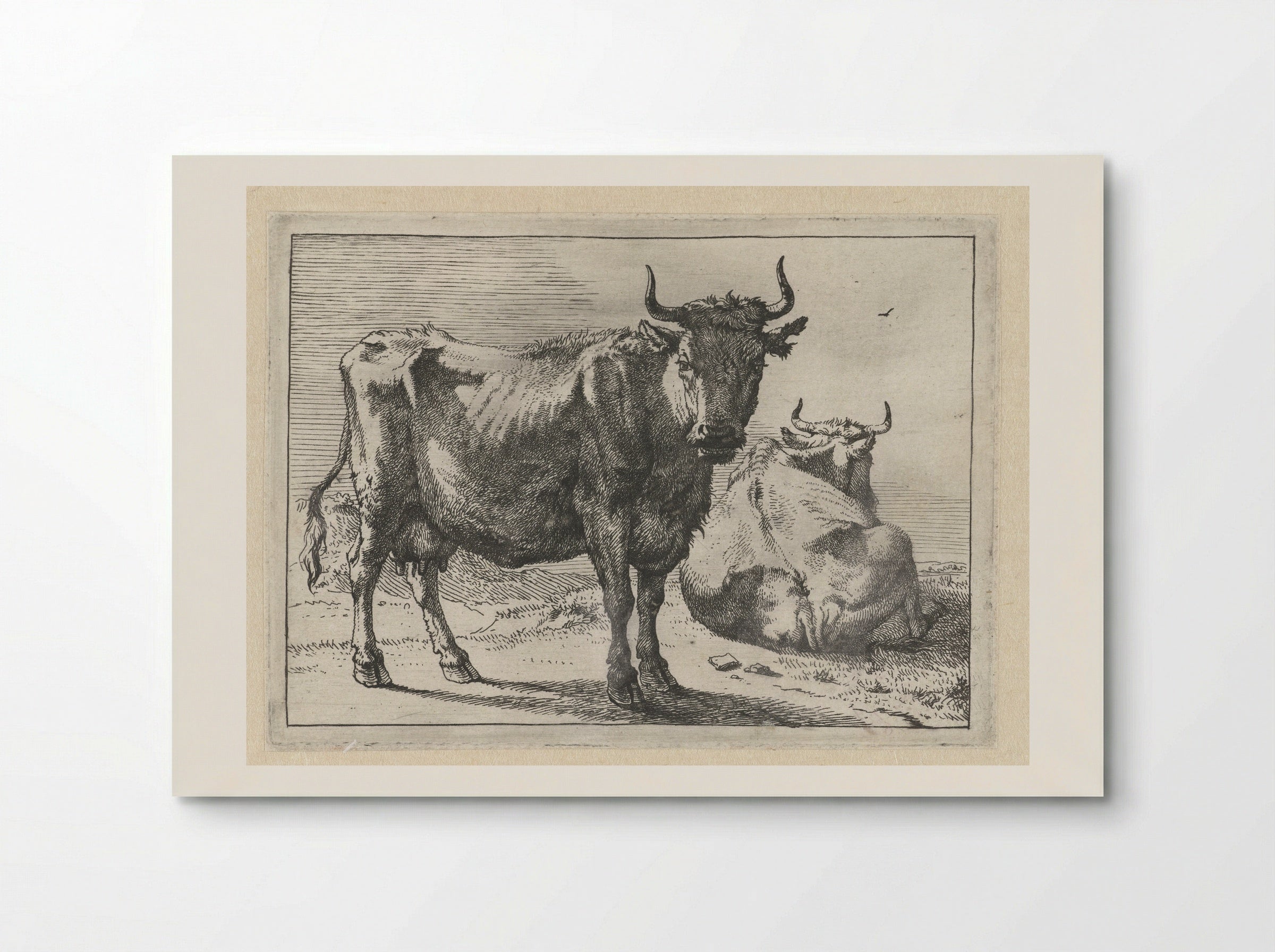 Staande en liggende koe - Paulus Potter - Poster