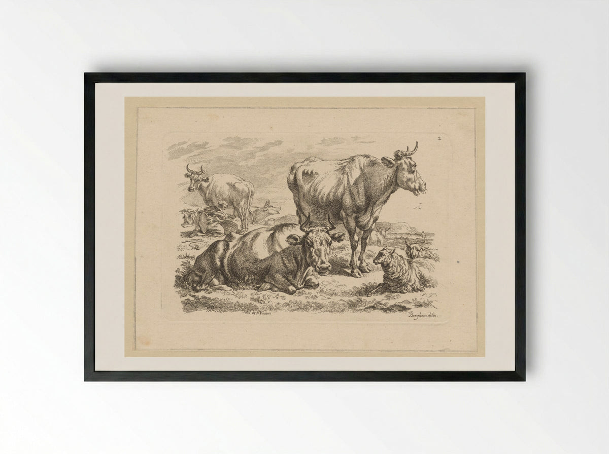 Staande en liggende runderen en een koe die gemolken wordt - François Vivares - Framed Print Black